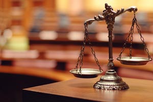 Expert Witness