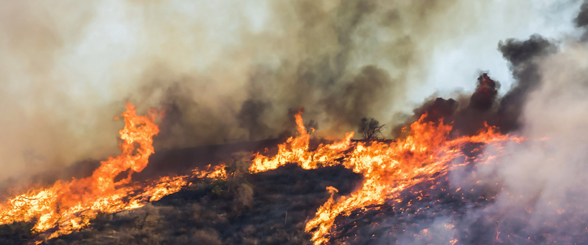 Industrial Fire & Explosion - Fire on hillside