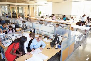 busy office with cubicles