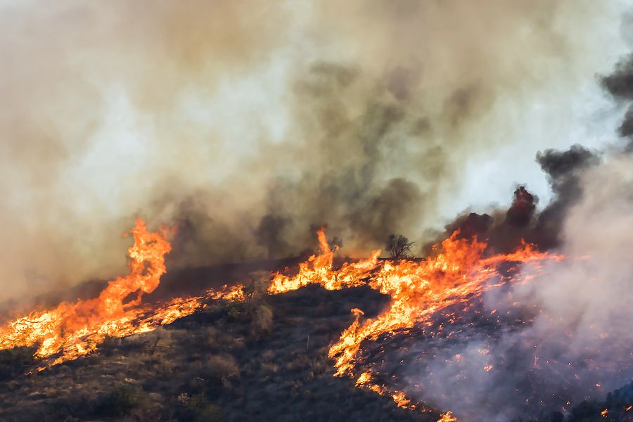Industrial Fire & Explosion Inspection - Fire on hillside