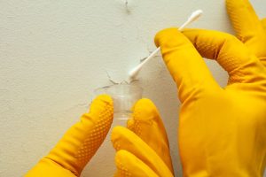 Testing paint on a wall for lead.
