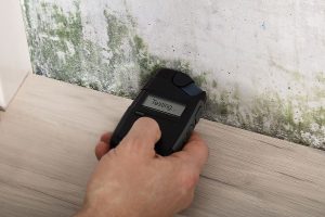 Mold Testing In Progress