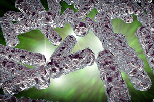 ecoli