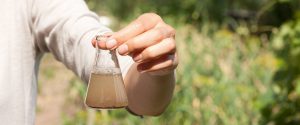 Groundwater vs. Surface Water Testing: What's the Difference?