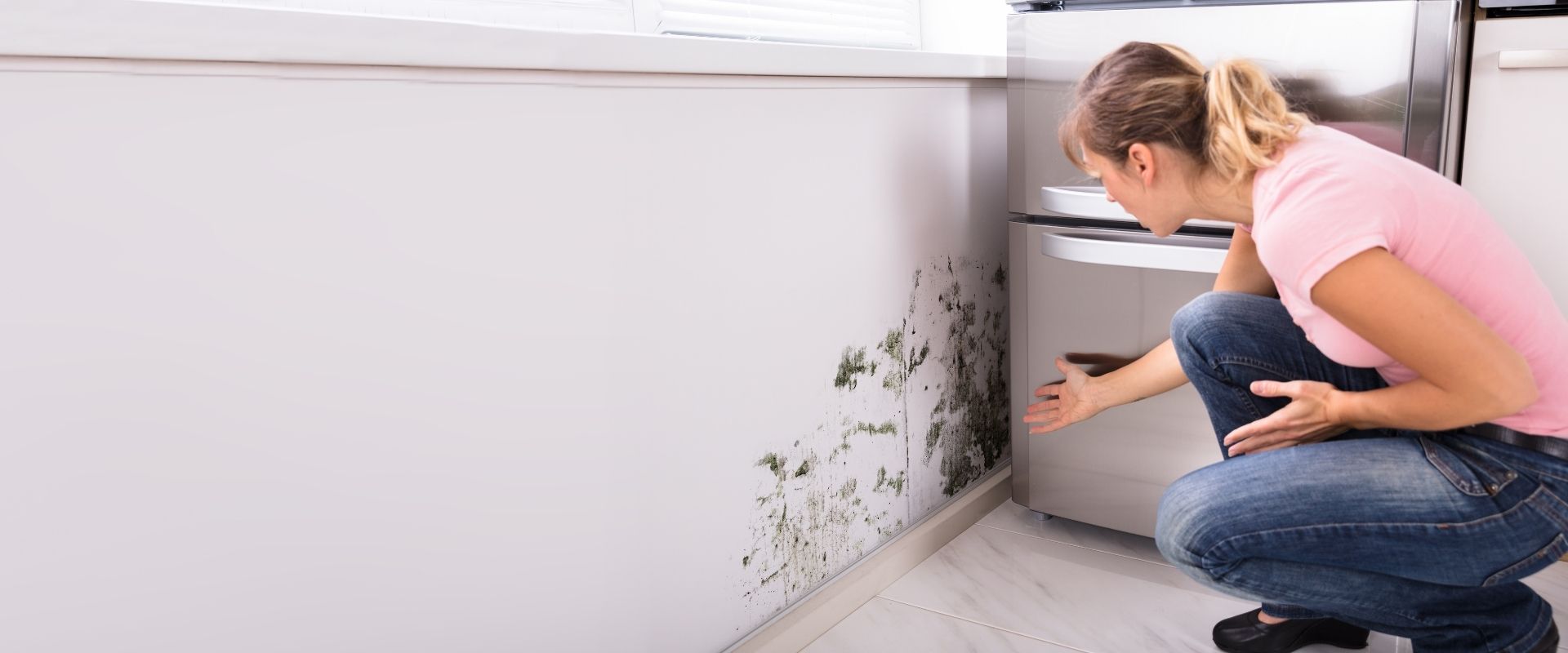 mold in home on white wall