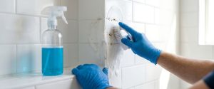 cleaning moldy room