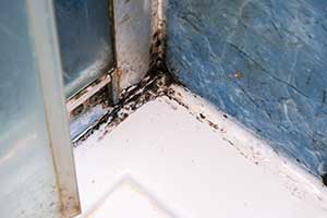 Your Spring Cleaning Mold Inspection Checklist
