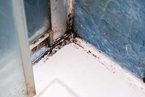 Your Spring Cleaning Mold Inspection Checklist 1 Your Spring Cleaning Mold Inspection Checklist