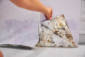 M3 helps discover mold in unlikely places