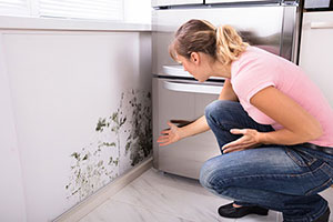 Mold Prevention