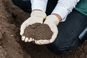 Soil Testing Monterey