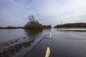 Environmental Testing After California Floods