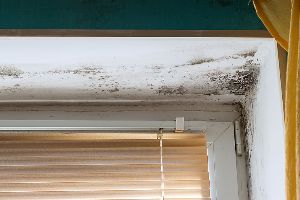 The Truth About Buying Homes With Mold 1 A Window With Mold On The Wall Nearby
